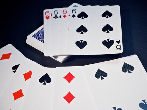 Bicycle Euchre Set